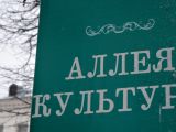 DSC_0678.jpg