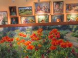 IMG_1167.jpg